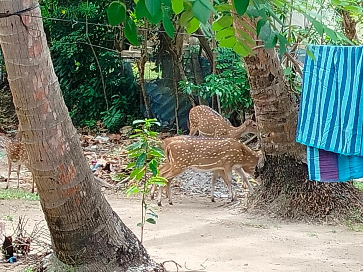 פולונרואה Priyanna Guest, Forest View מראה חיצוני תמונה